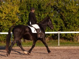 IMG_7705_web
